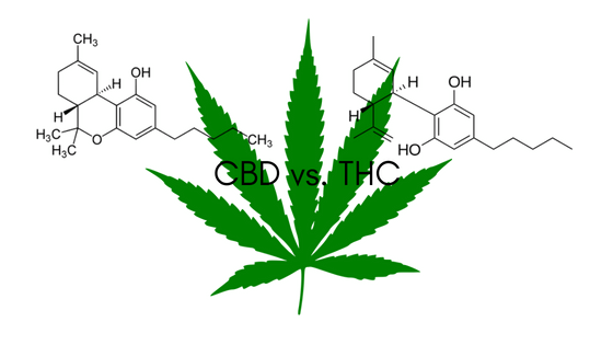 CBD Facts: CBD vs THC - Restart CBD