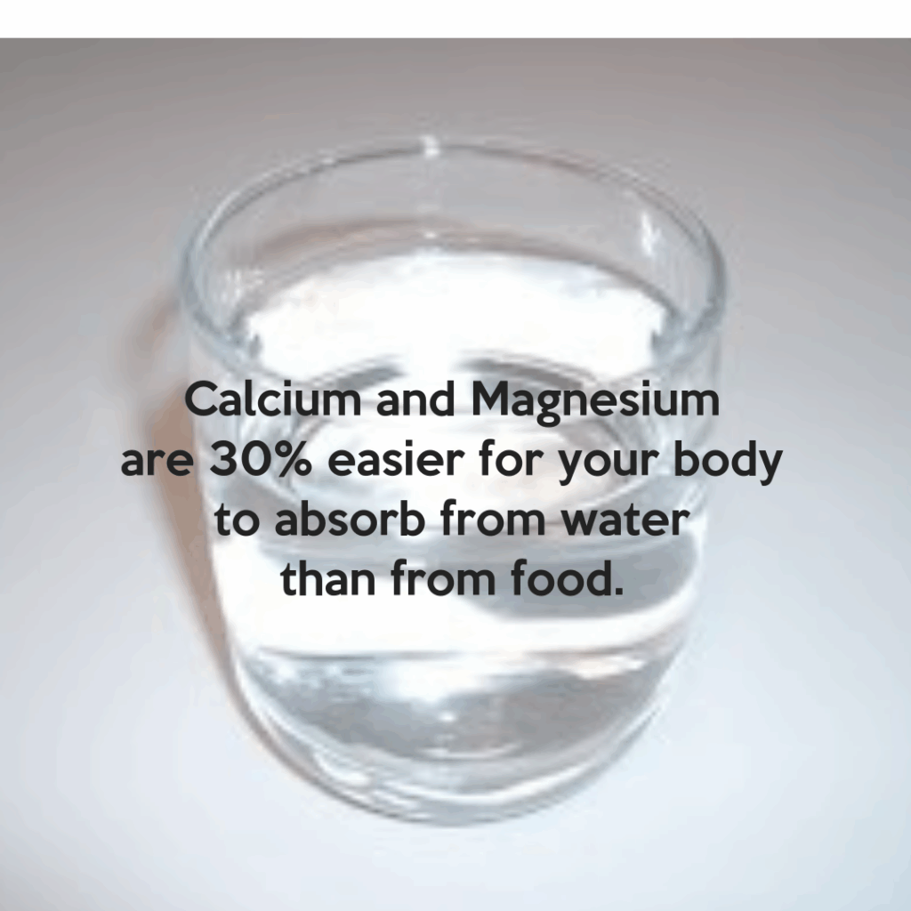 Whats in Your Water