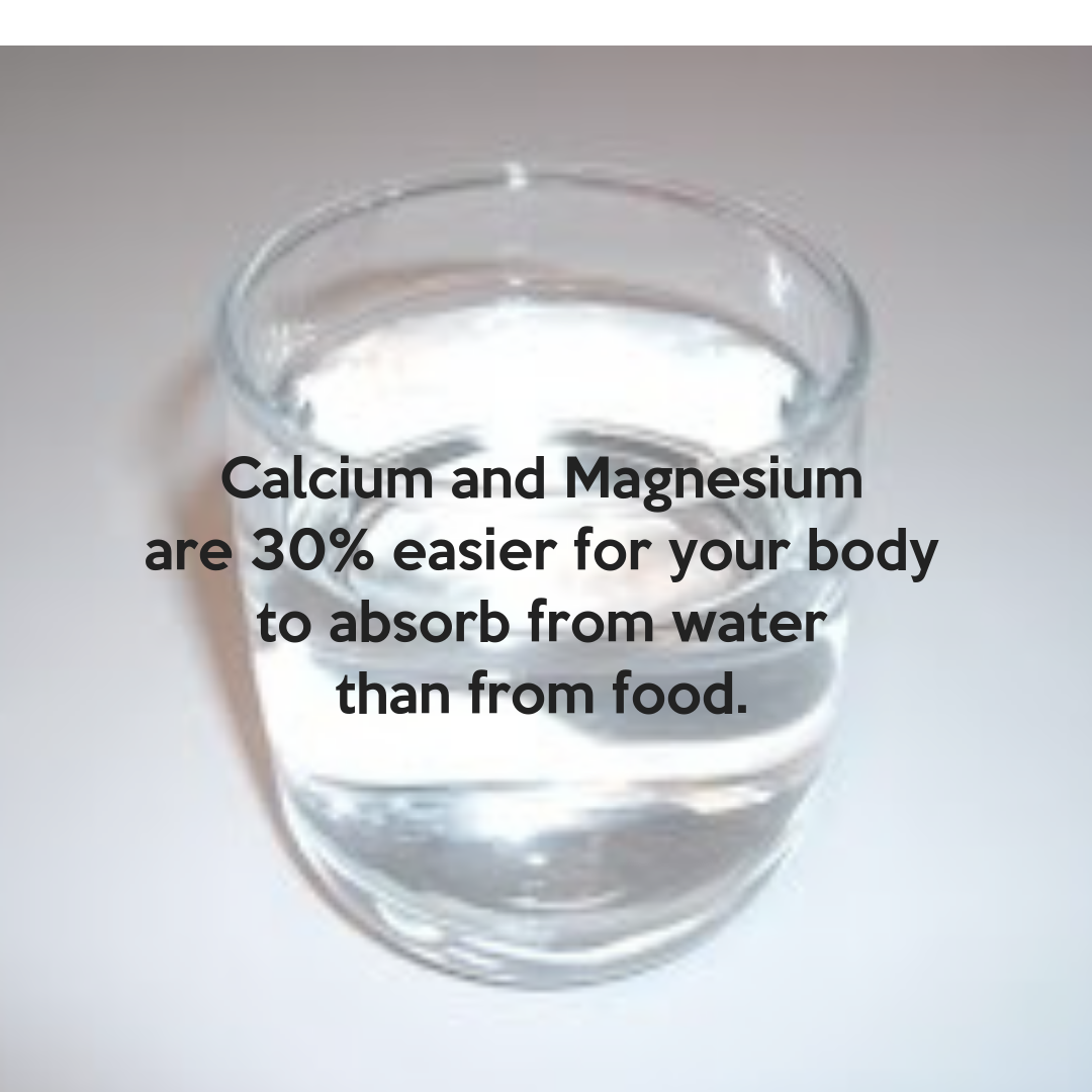 Whats in Your Water