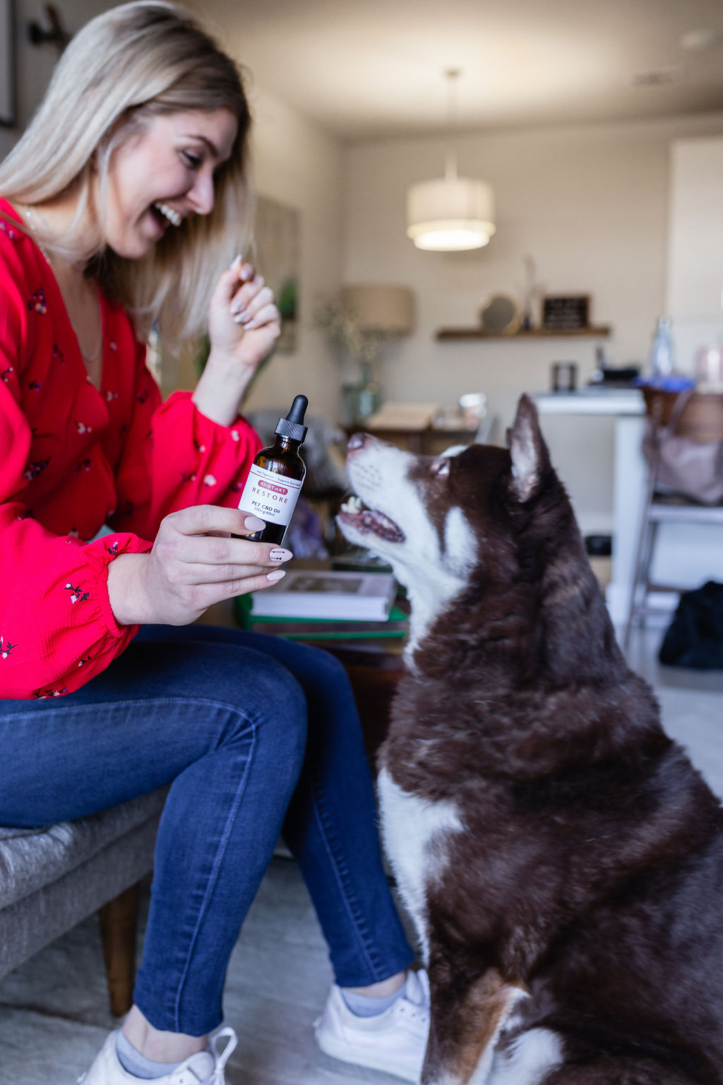 CBD for Dogs