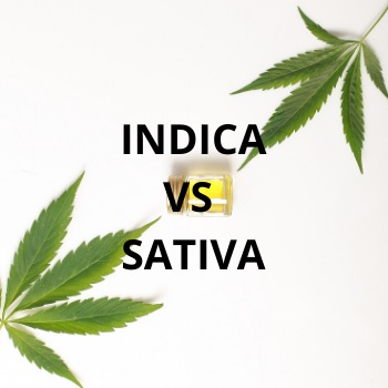 Indica Vs. Sativa - RESTART CBD