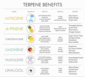 RESTART CBD Vape and Wax Terpene Chart