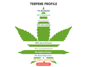 ReStart CBD Terpene Profile - Austin TX