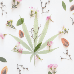 RESTART-CBD Hemp Floral Arrangements - Weed Weddings