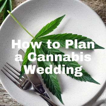 RESTART CBD - Plan a Cannabis Wedding with RESTART Canna Consultants