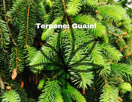 restart-cbd-terpene-guaoil.png