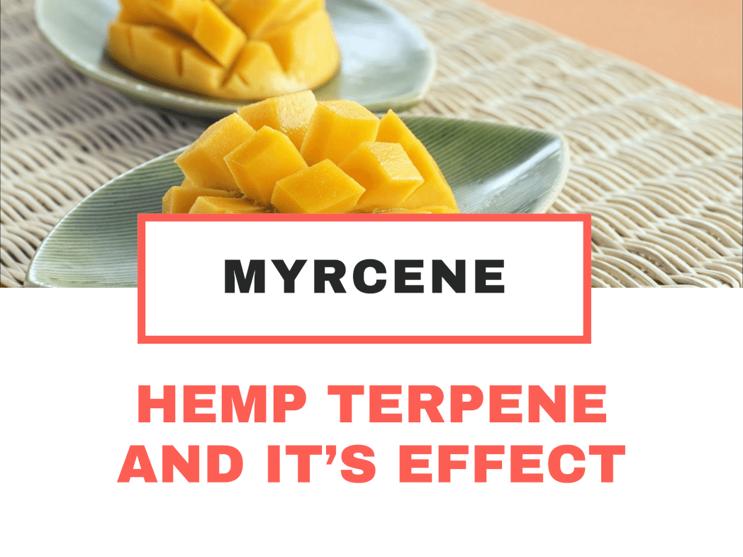 Top Terpene in Hemp Flower: Myrcene