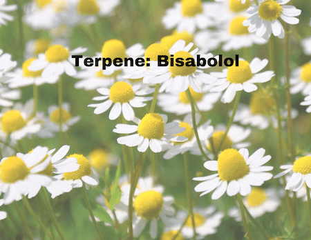 RESTART CBD Bisabolol Terpene