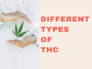 Different Types of THC