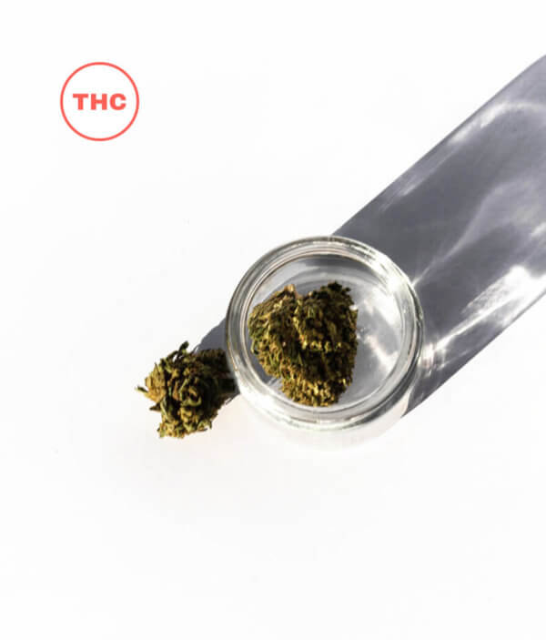 D8 Hemp Flower RESTART CBD Austin TX