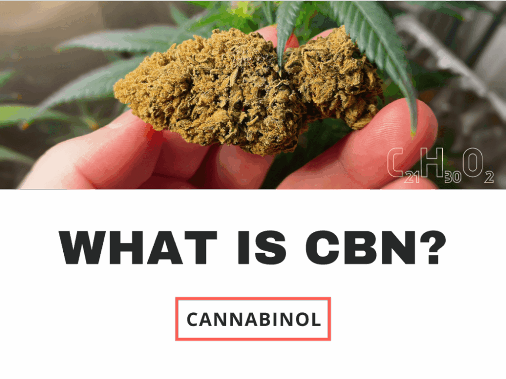 WHAT IS CBN? CANNABINOL.