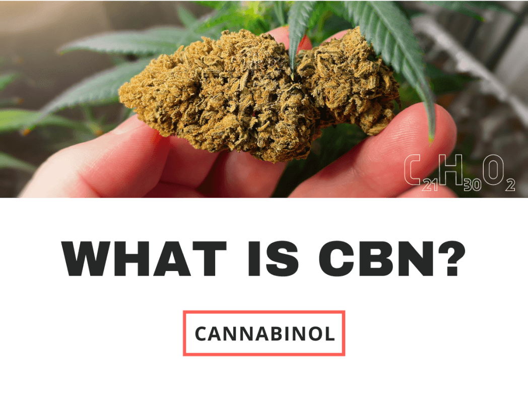 WHAT IS CBN? CANNABINOL.