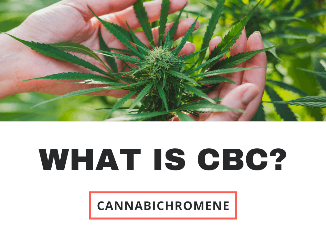 What is CBC? Cannabichromene.