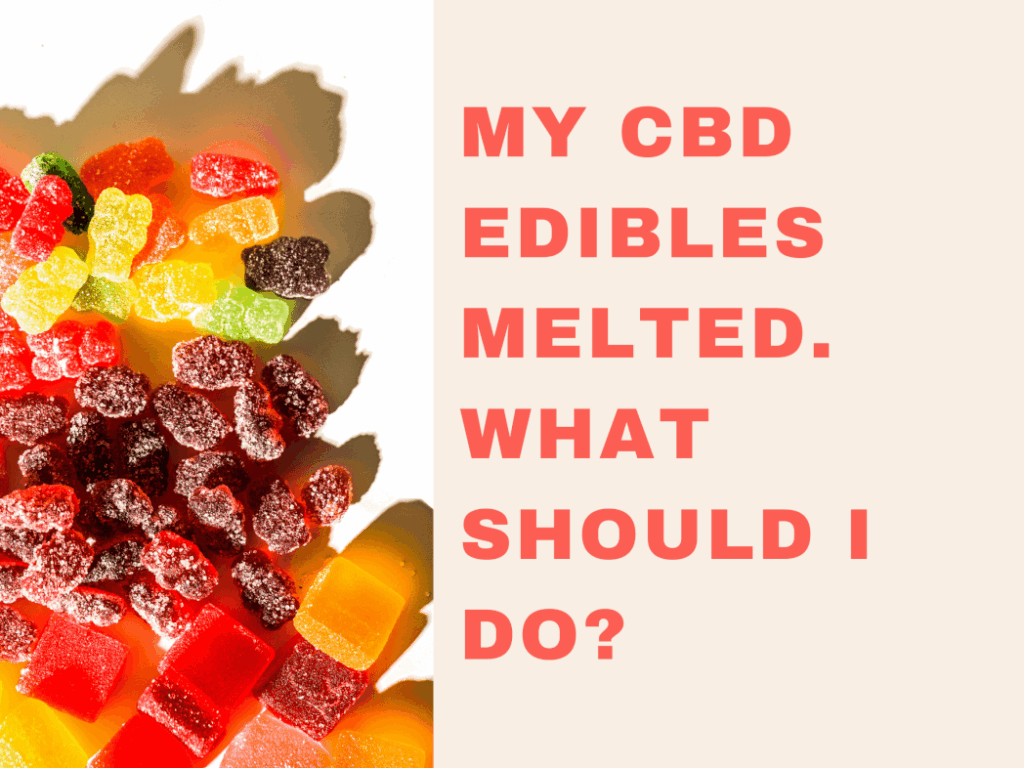 MY CBD EDIBLES MELTED. WHAT SHOULD I DO?