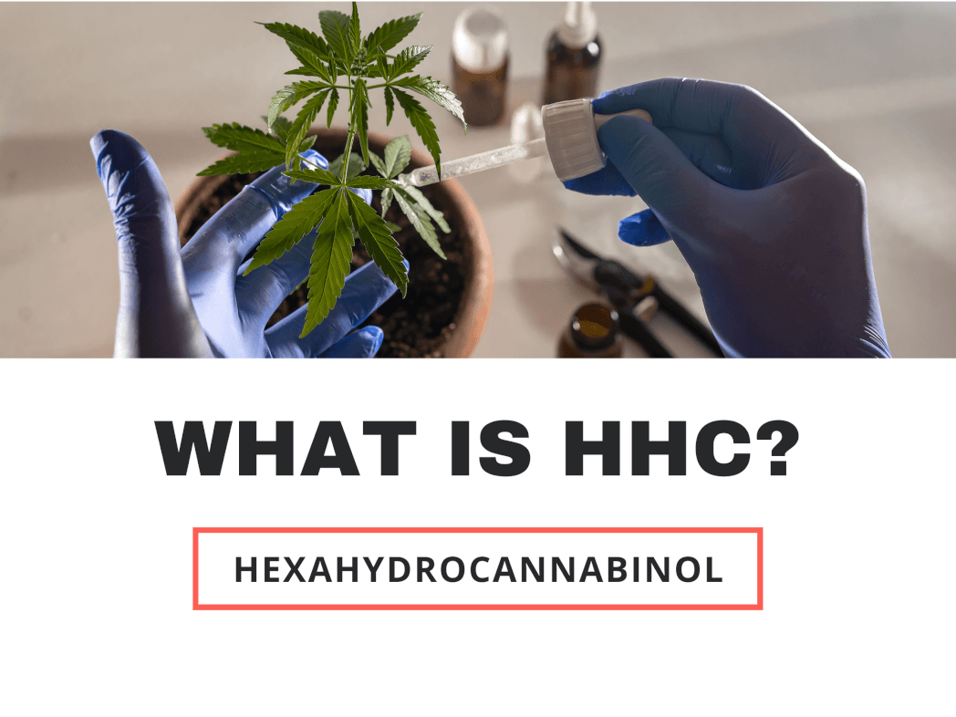 What is HHC?