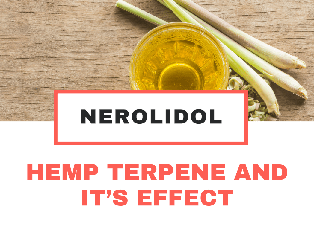 Hemp Terpene and It’s Effect: Nerolidol