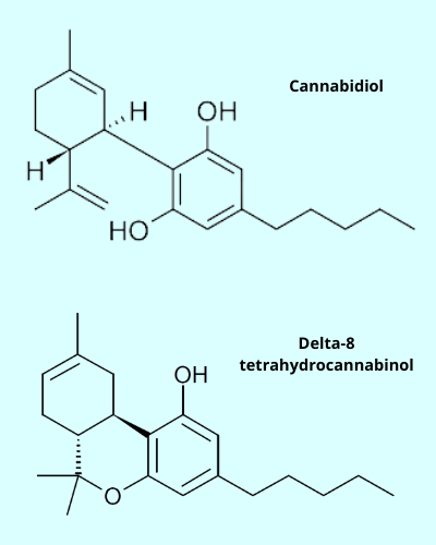 cbd vs d8 molecule