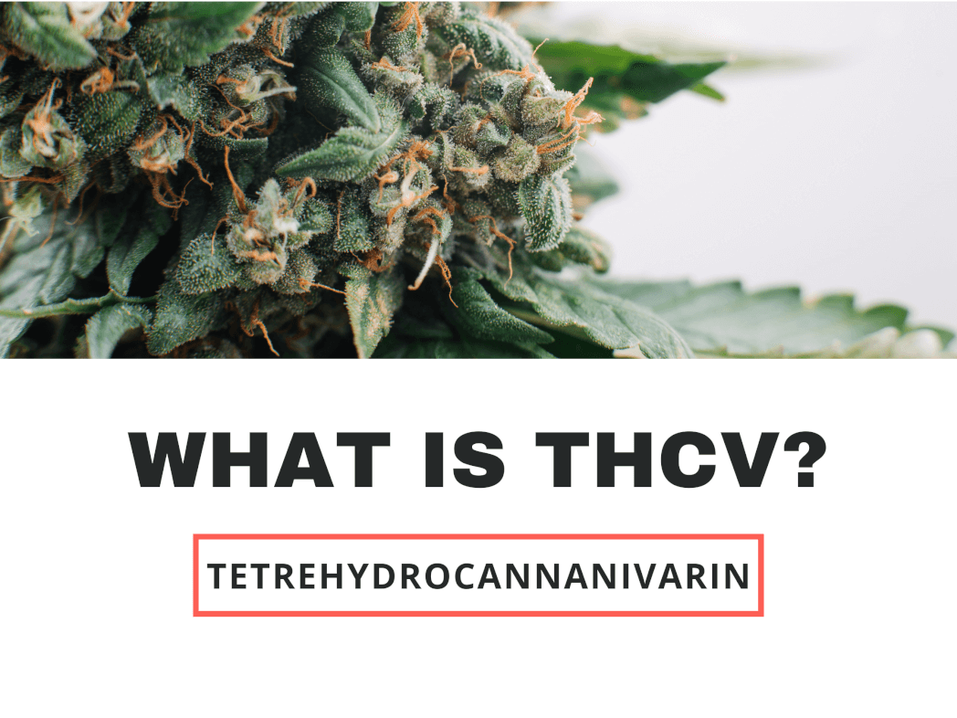 WHAT IS THCV?