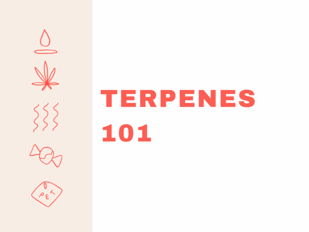 Terpenes: 101