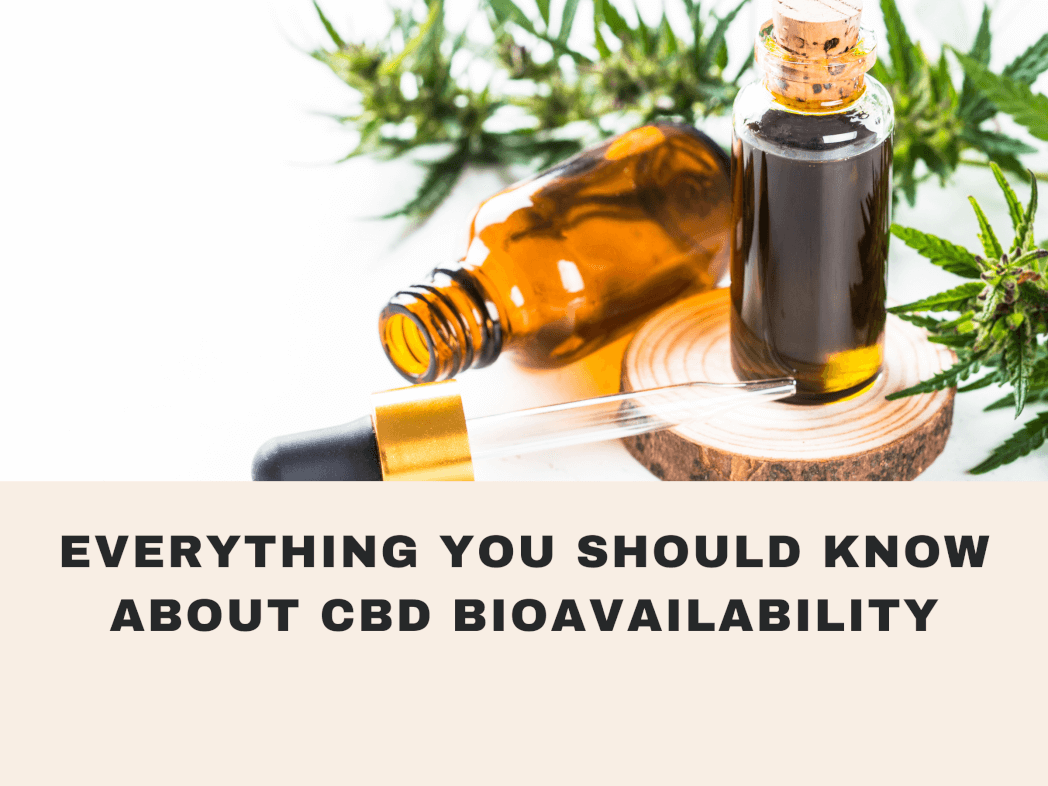 Everything You Should Know About CBD Bioavailability