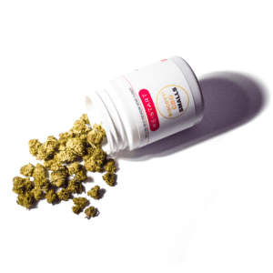 biscotti_smalls_cbg_restart_cbd_austin_Texas