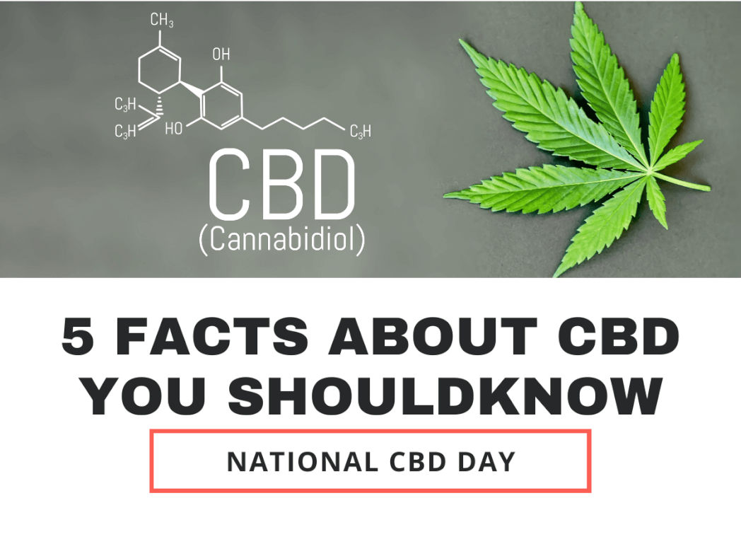 NATIONAL CBD DAY 2022