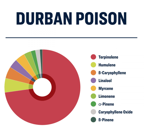 Durban Poison Terpene Wheel - Restart CBD