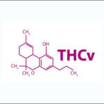 THCV Benefits