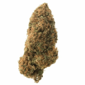 CBD Flower Sour Lifter (Hybrid)