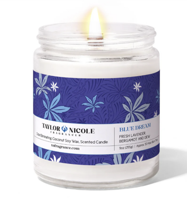 Taylor Nicole Odor Eliminating Candle 9oz - Image 2