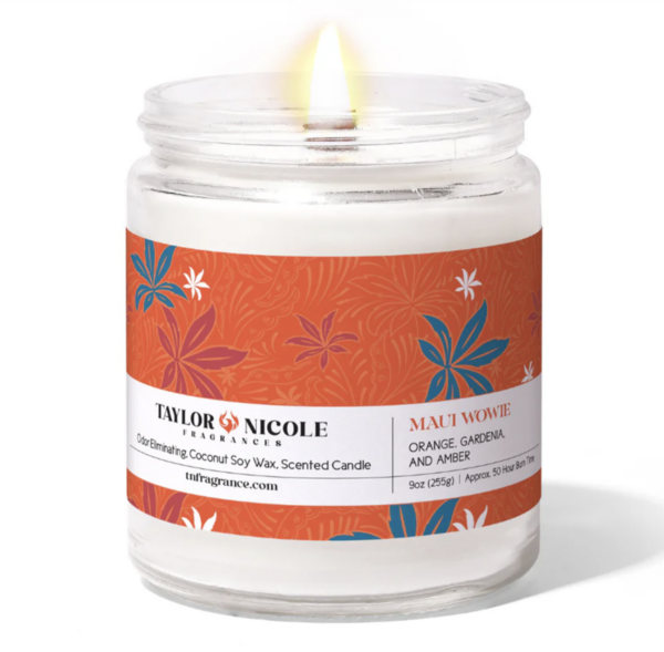 Taylor Nicole Odor Eliminating Candle 9oz