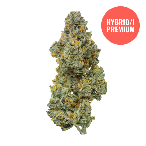 THCA Flower Bleu Runtz - Exotic Hybrid/Indica