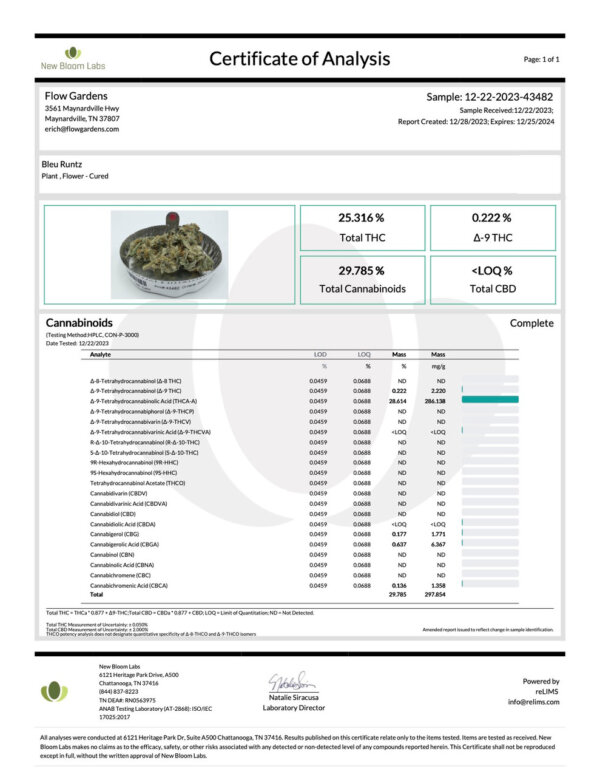 THCA Flower Bleu Runtz - Exotic Hybrid/Indica - Image 4