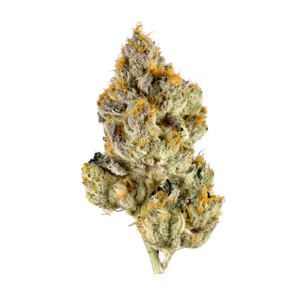 THCA Flower Purple Cream - Exotic Indica