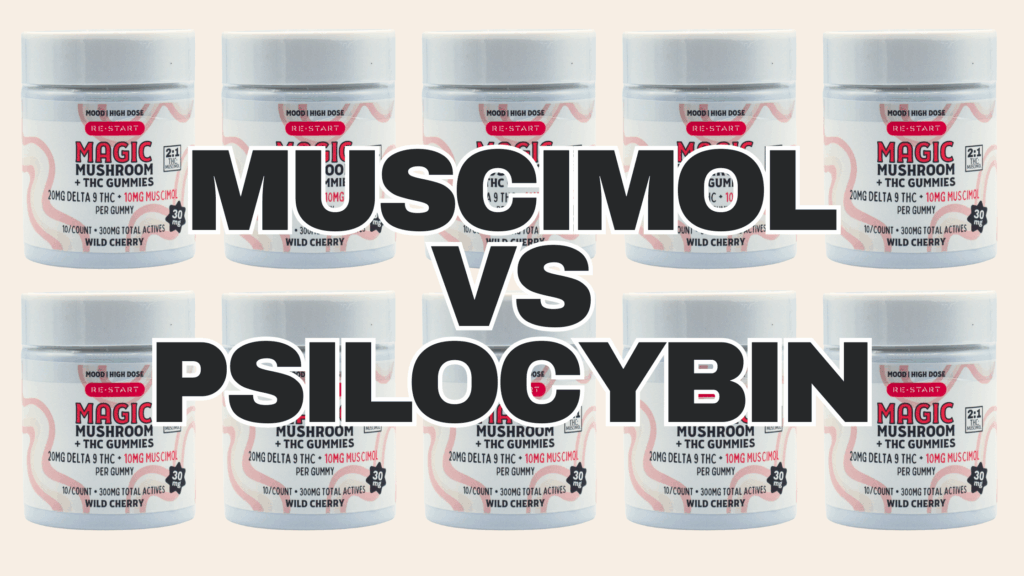 MUSCIMOL VS PSILOCYBIN WHAT YOU NEED TO KNOW RESTART CBD THC