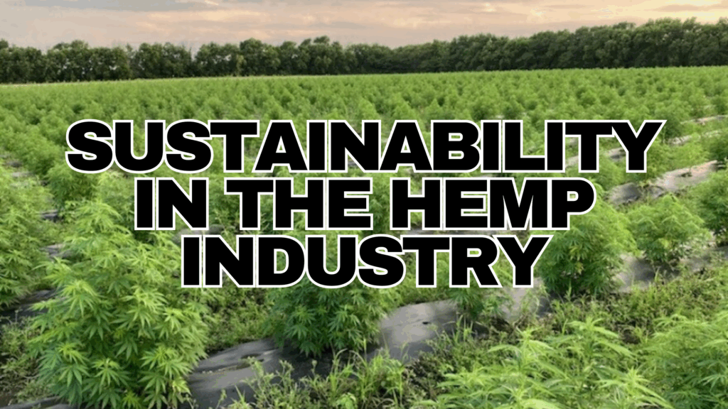 Sustainable Practices in CBD Production What You Should Know RESTART CBD