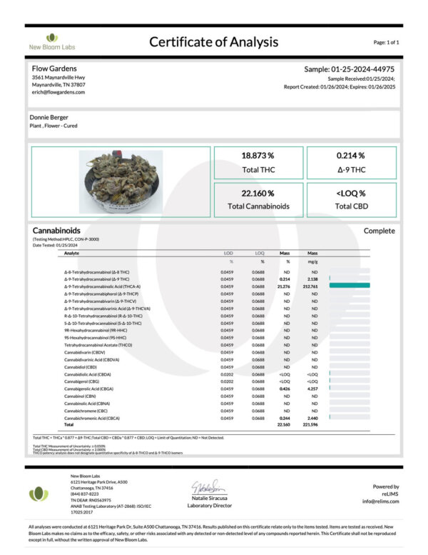 THCA Flower Donnie Burger - Exotic Indica - Image 3