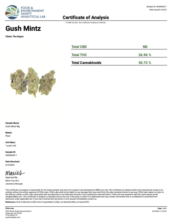 THCA Flower Smalls Gush Mintz Premium Indica/H