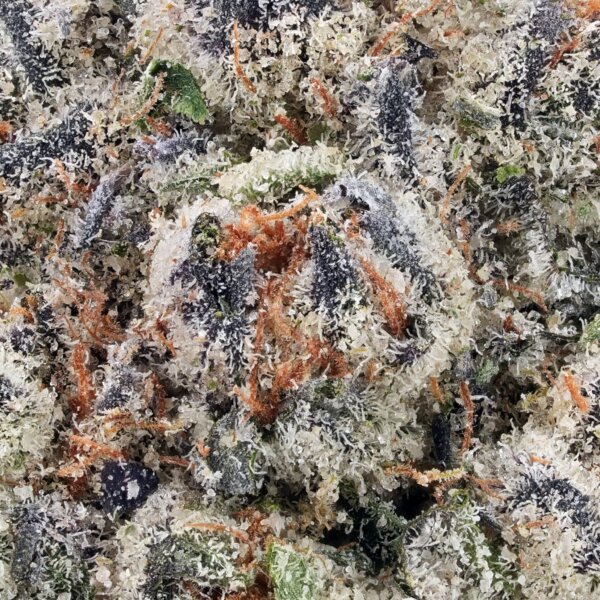 THCA Flower Green Crack Premium Flower Sativa - Image 2