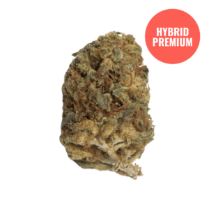 THCA Flower Killer Cupcake - Premium Hybrid