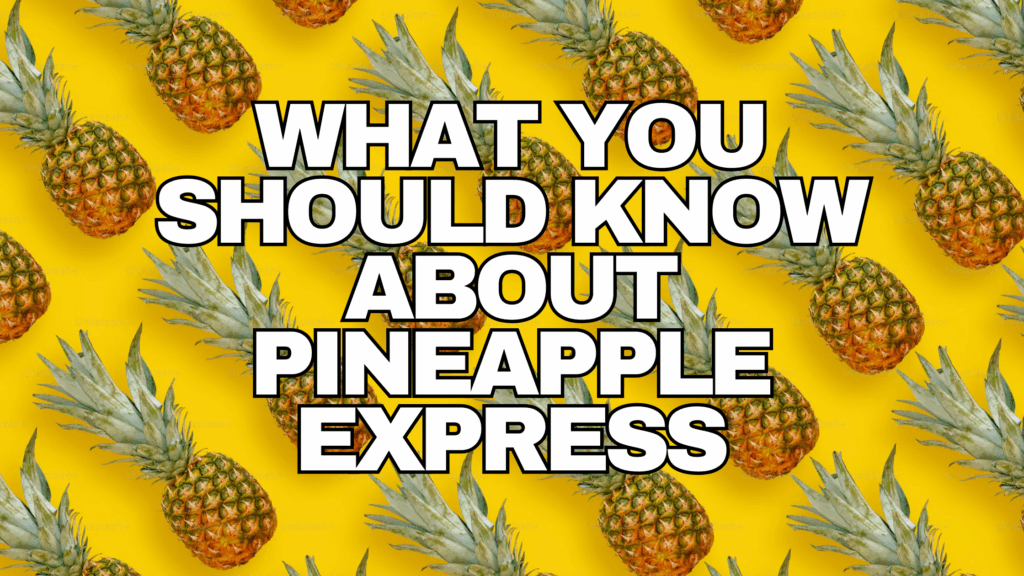 PINEAPPLE EXPRESS DELTA 9 THC STRAIN