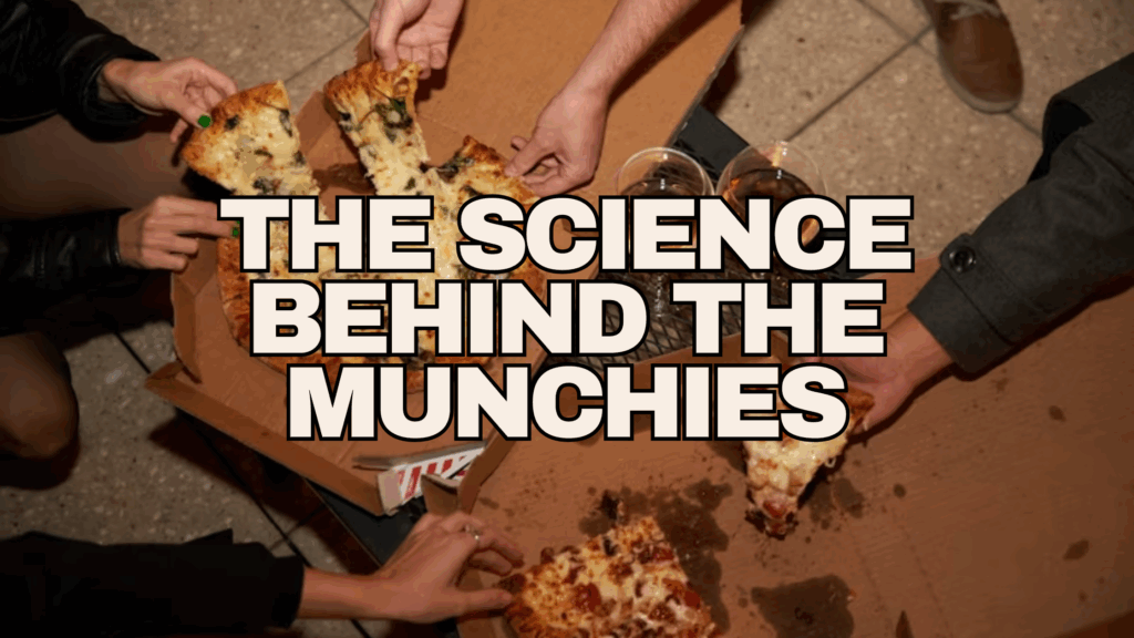 Why Does THC Make Me Hungry? The Science Behind the Munchies
