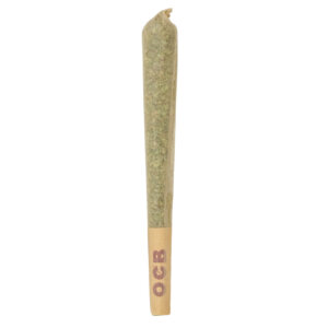 THCA Pre-Roll Blue Dream 1G (H/Sativa)