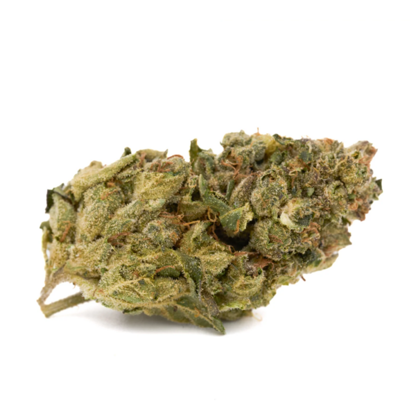 THCA Flower Sherbacio - Premium Hybrid