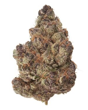 THCA Flower Exotic Halle Berry (Sativa/H)