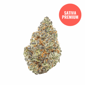 THCA Flower Hawaiian Fanta - Premium Sativa