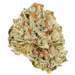 THCA Flower Premium Royal Slippers (Hybrid)