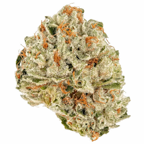 THCA Flower Premium Royal Slippers (Hybrid)