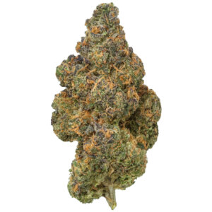THCA Flower Black Maple Hybrid