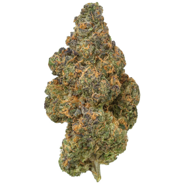 THCA Flower Black Maple Hybrid